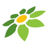 ARTI INSES
